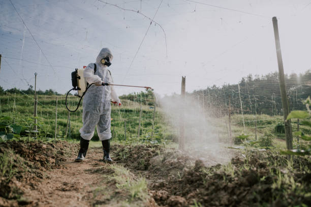 Best Wasp Removal Services  in Pleasant Run Farm, OH