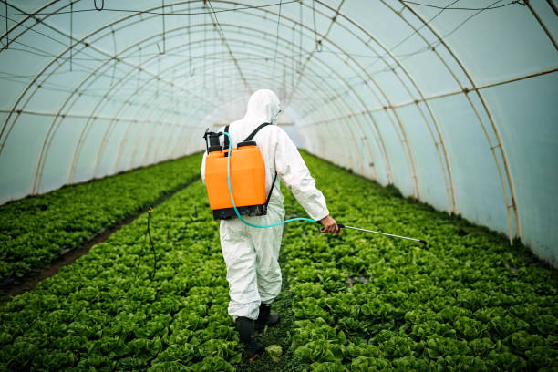 Best Mosquito Control Services  in Pleasant Run Farm, OH