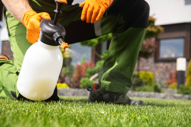 Professional Pest Control in Pleasant Run Farm, OH