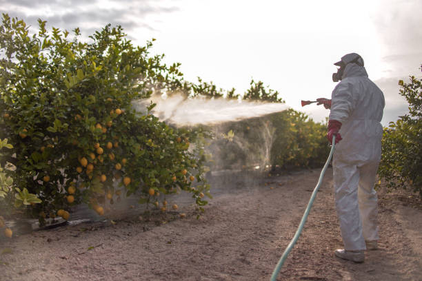 Best Residential Pest Control  in Pleasant Run Farm, OH