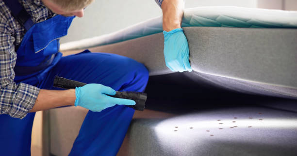 Best Flea Control Services  in Pleasant Run Farm, OH