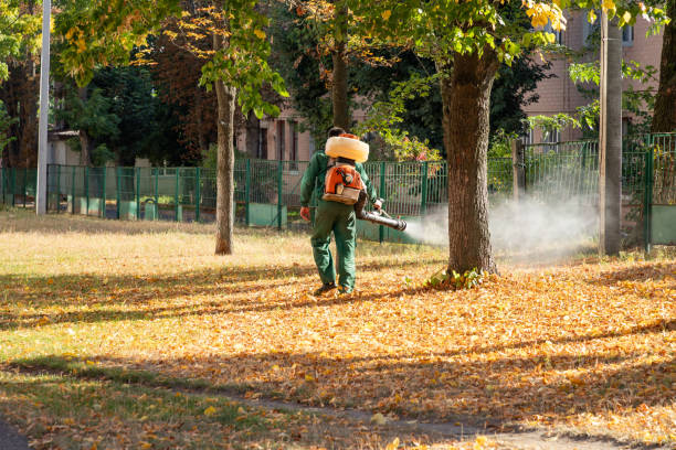 Best Emergency Pest Control  in Pleasant Run Farm, OH
