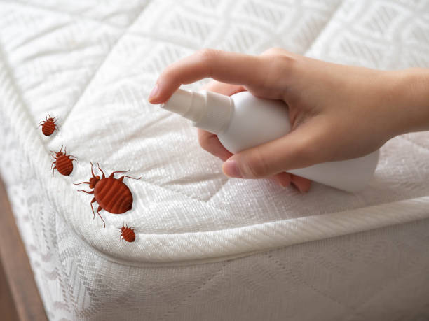 Best Best Pest Control Companies  in Pleasant Run Farm, OH